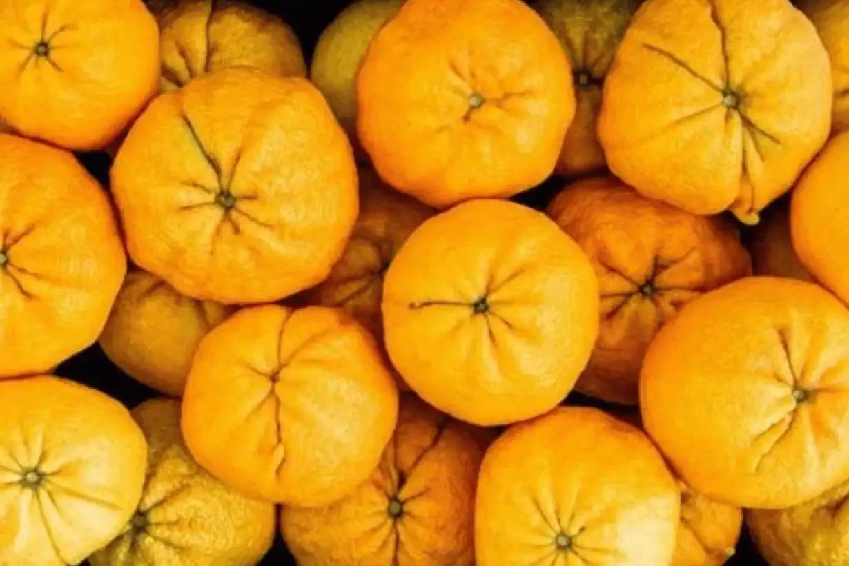 Ugli Orange Negotiation