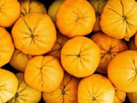 Ugli Orange Negotiation