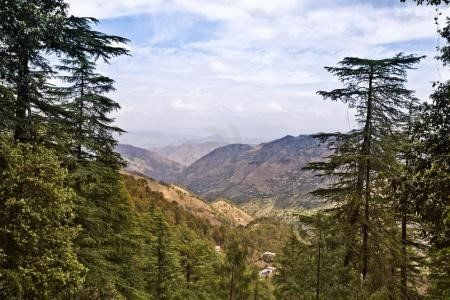 Shimla