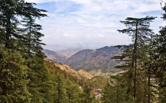 Shimla