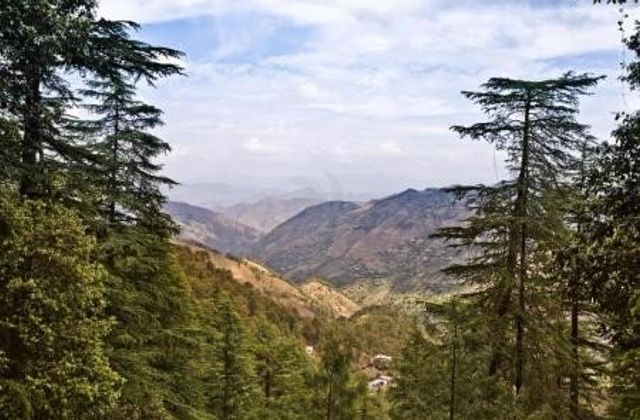 Shimla
