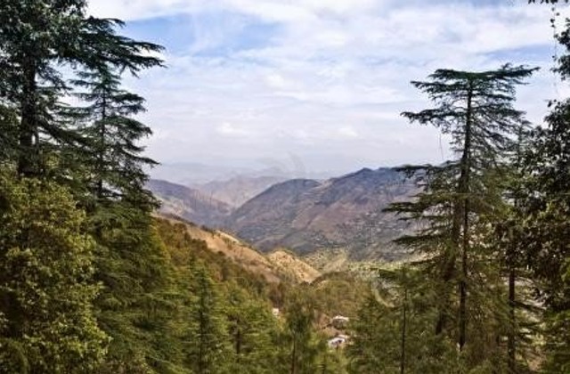 Shimla