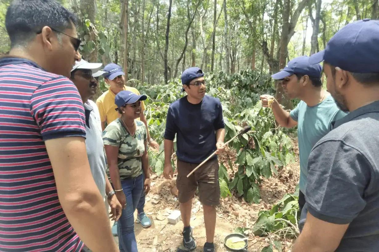 Jungle Survival — photo 1