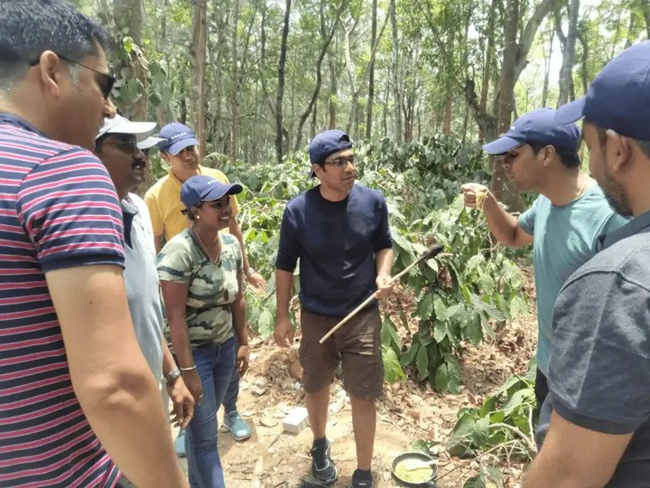 Jungle Survival — photo 1