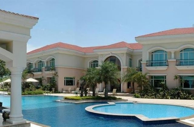 The Palms