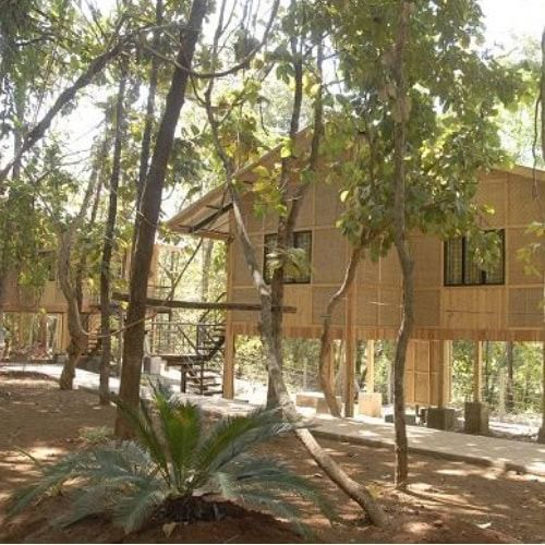 Sajan Nature Club