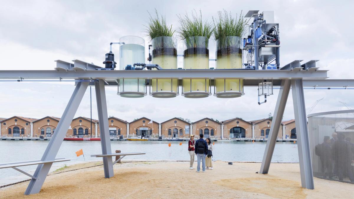 Canal Café by Diller Scofidio + Renfro, Venice Architecture Biennale 2025.
