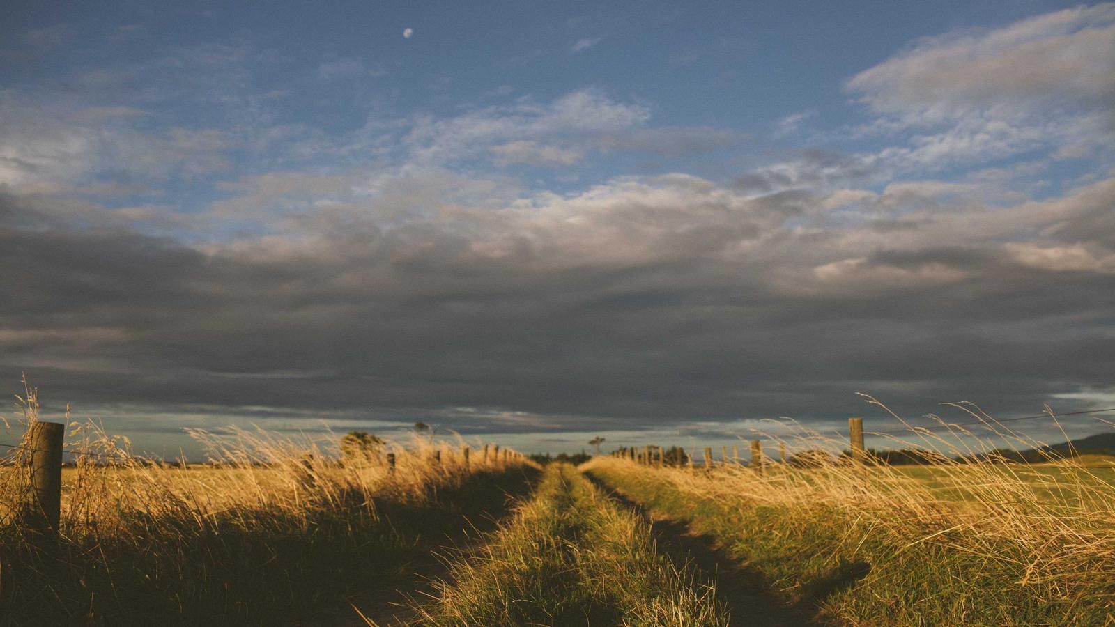 Installation view of the retrospective