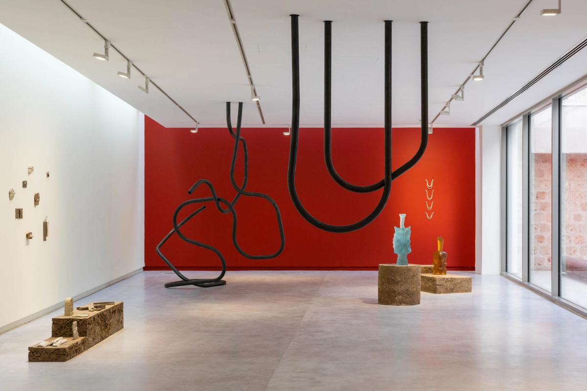 "Saturated Salty Mud Stories" by Rossella Biscotti for Sharjah Biennial 16: to carry