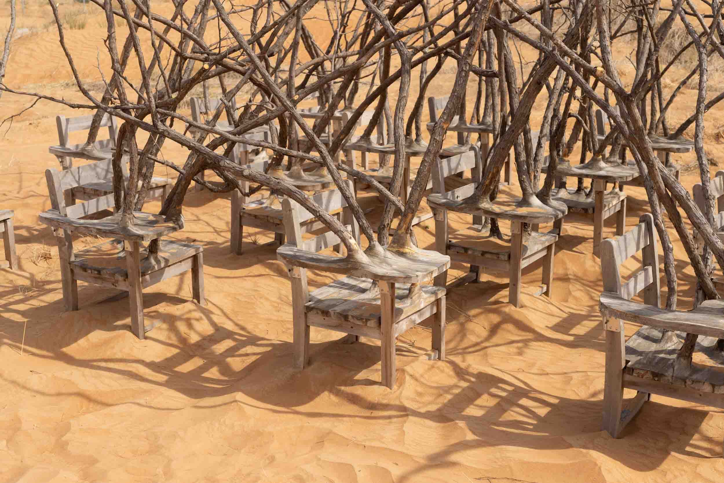 "Brier Patch" by Hugh Hayden for Sharjah Biennial 16: to carry.