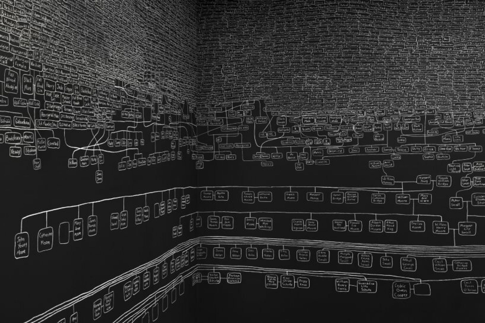 Archie Moore's hand-drawn chalk genealogical chart etched across the black walls of the Australian Pavilion at the 60th Venice Biennale.