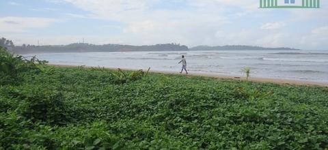 CS217- Stay And Walk To The Beach