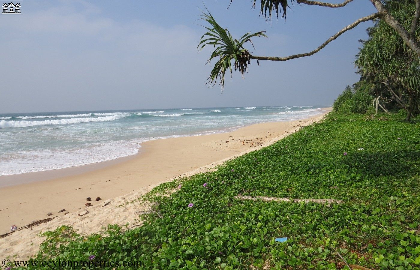 CS127- Amazing Beach Property, Habaraduwa