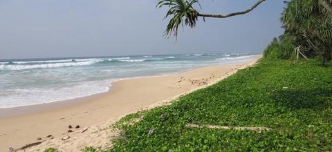 CS127- Amazing Beach Property, Habaraduwa