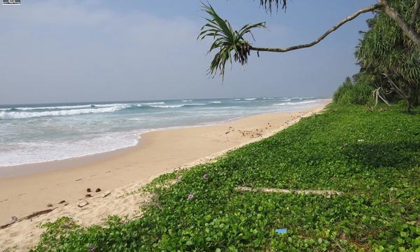 CS127- Amazing Beach Property, Habaraduwa