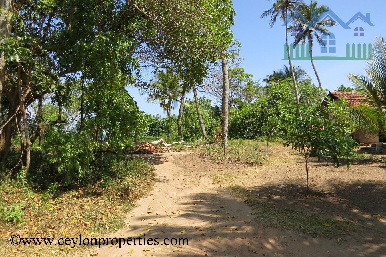 CS207- Ideal beach property for Hotel Project.