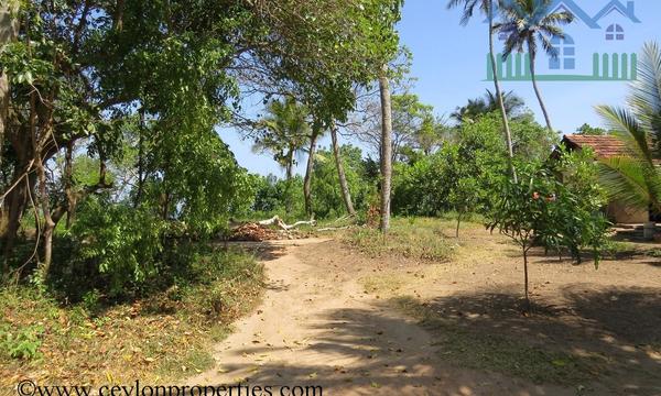 CS207- Ideal beach property for Hotel Project.