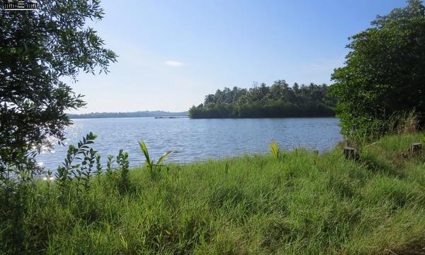 CS155- Elevated Water Front Land
