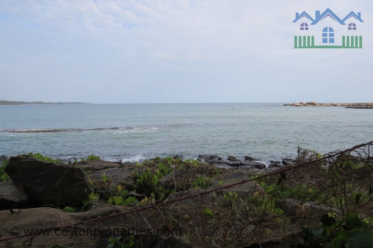 CS236- Beach Property for Commercial purpose