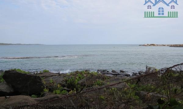 CS236- Beach Property for Commercial purpose