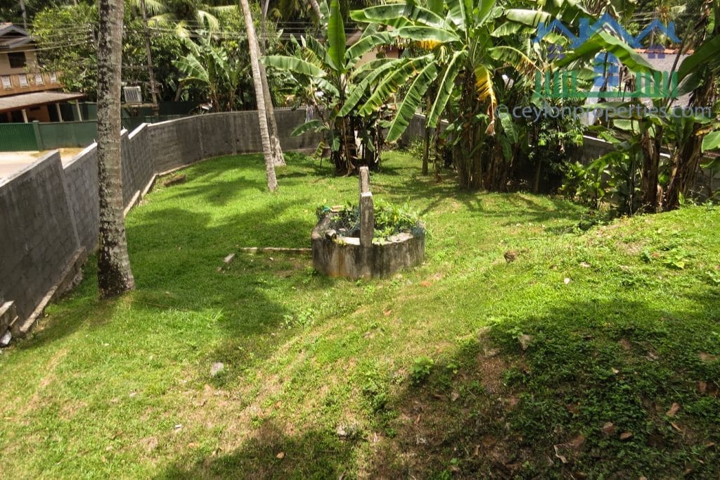 WP-cr284