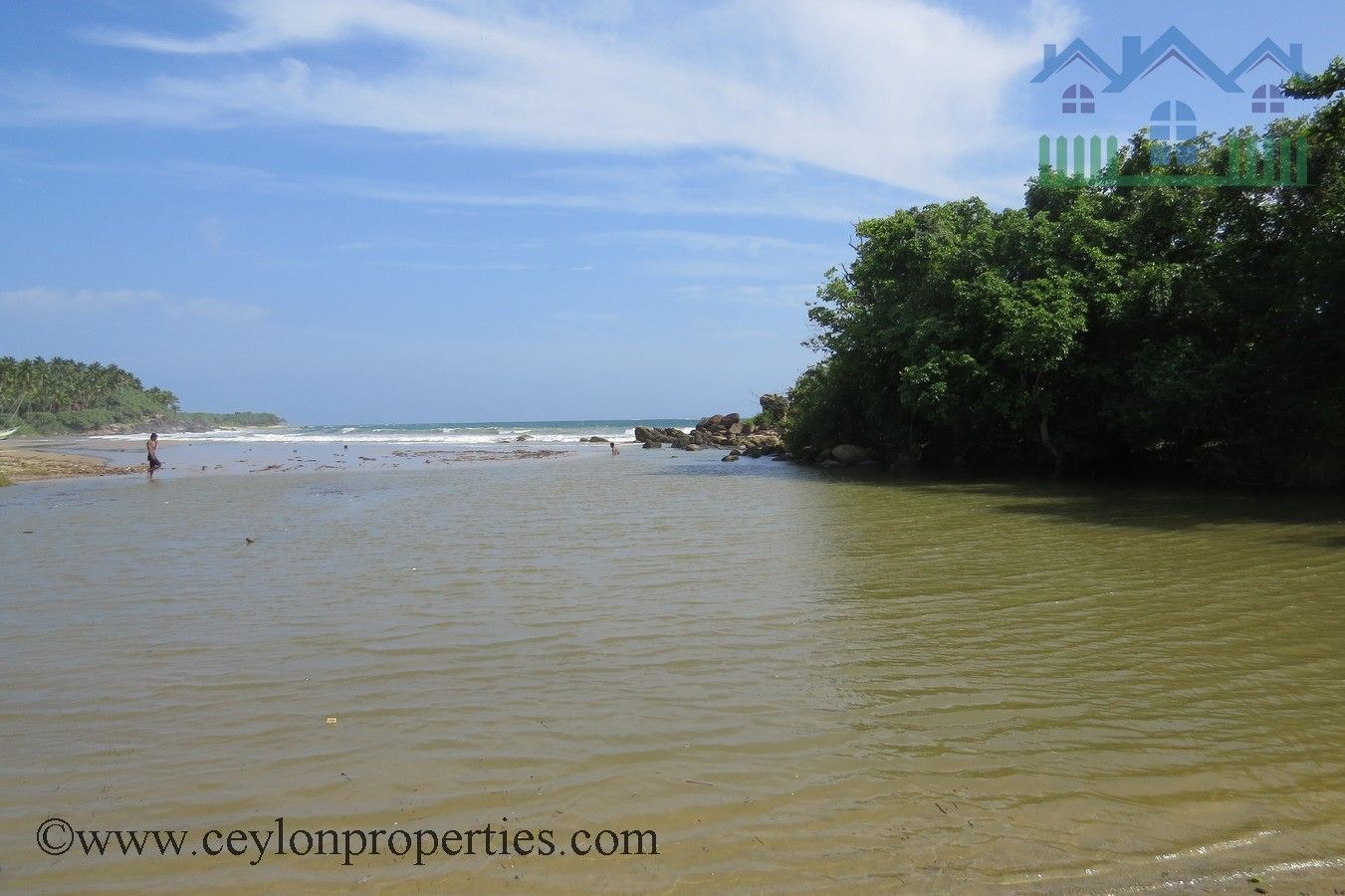 CS186- Awesome Beach And Lake Property