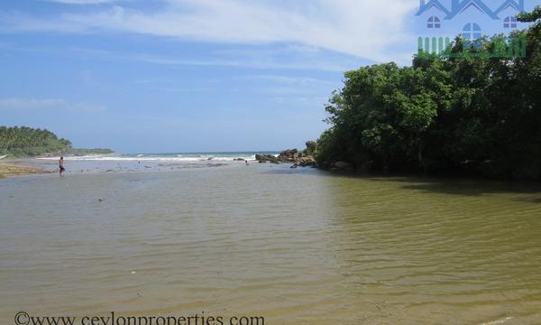 CS186- Awesome Beach And Lake Property