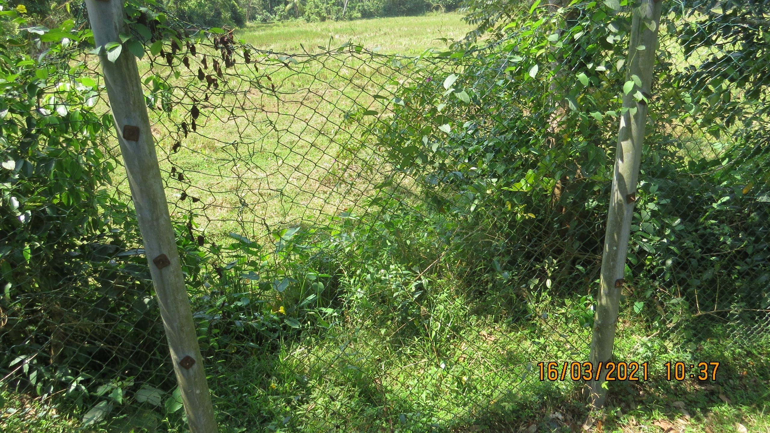 WP-cs305