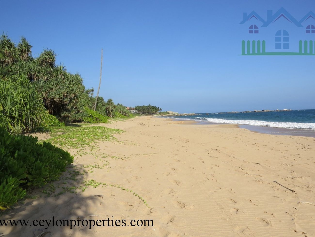CS194-Beach Side Property In Down South