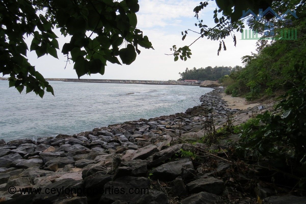CS237- A Beach Plot for Development