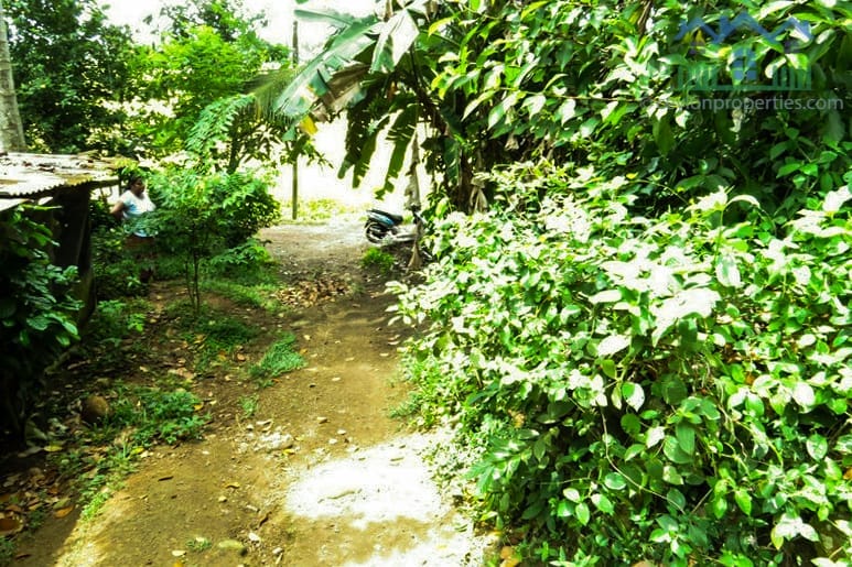 WP-cs264