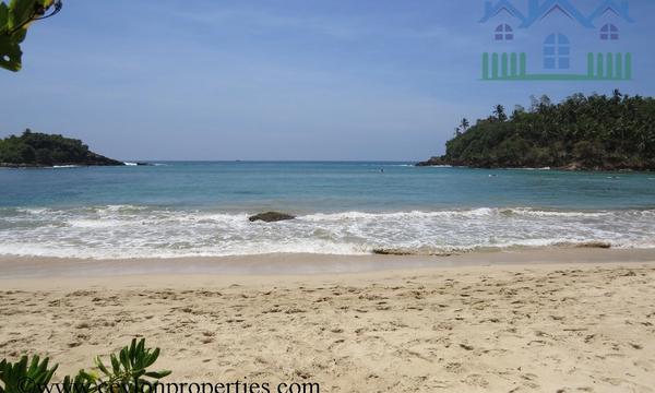CS197- A Property Near The Surfing Beach