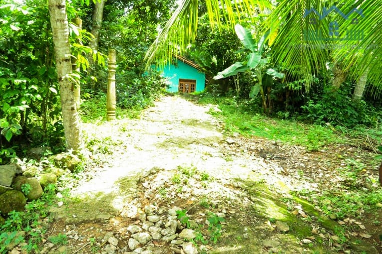 WP-cs264