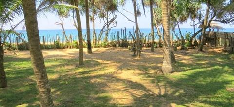 CS143- Beautiful Beach Front Property