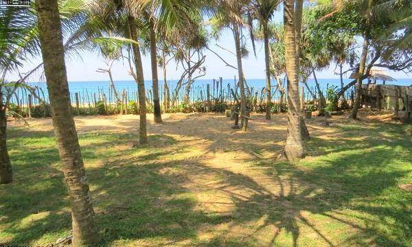 CS143- Beautiful Beach Front Property