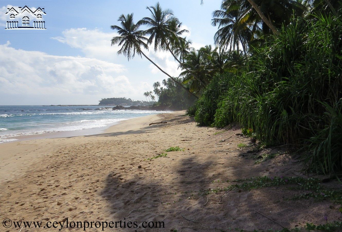 CS165- Amazing Beach In Down South