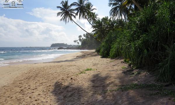 CS165- Amazing Beach In Down South