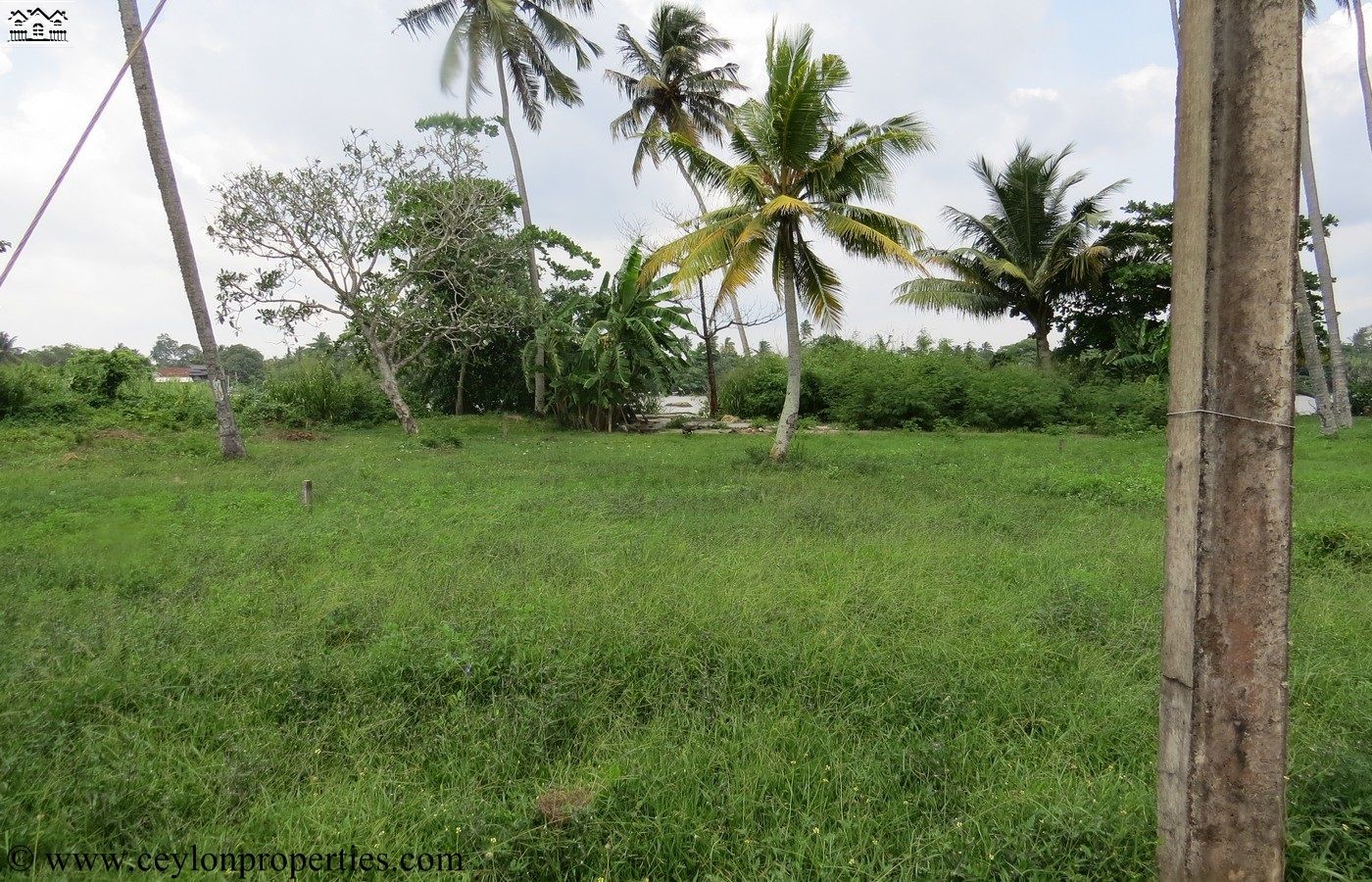 CS130- Ideal Property In Between Beach and River