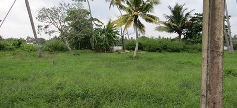 CS130- Ideal Property In Between Beach and River