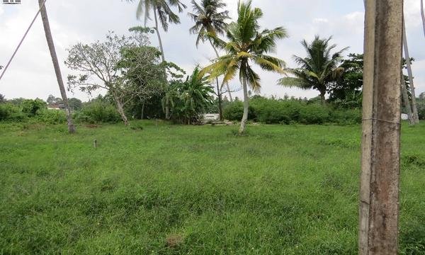 CS130- Ideal Property In Between Beach and River