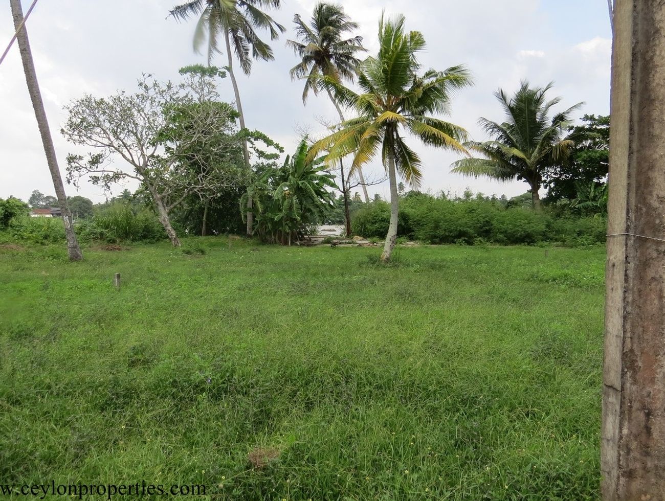 CS130- Ideal Property In Between Beach and River