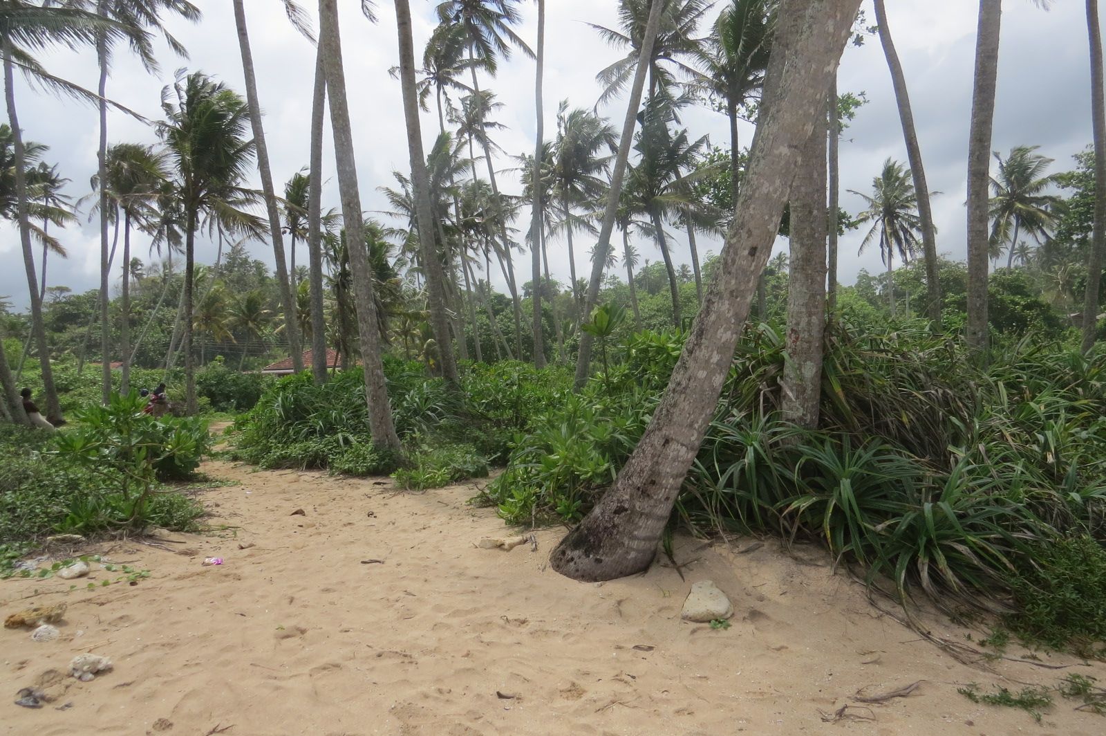 CS150- Beautiful Beach Property