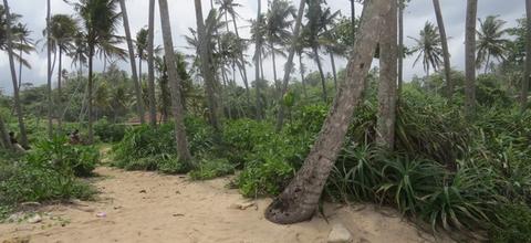 CS150- Beautiful Beach Property
