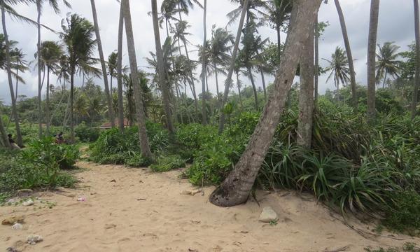 CS150- Beautiful Beach Property