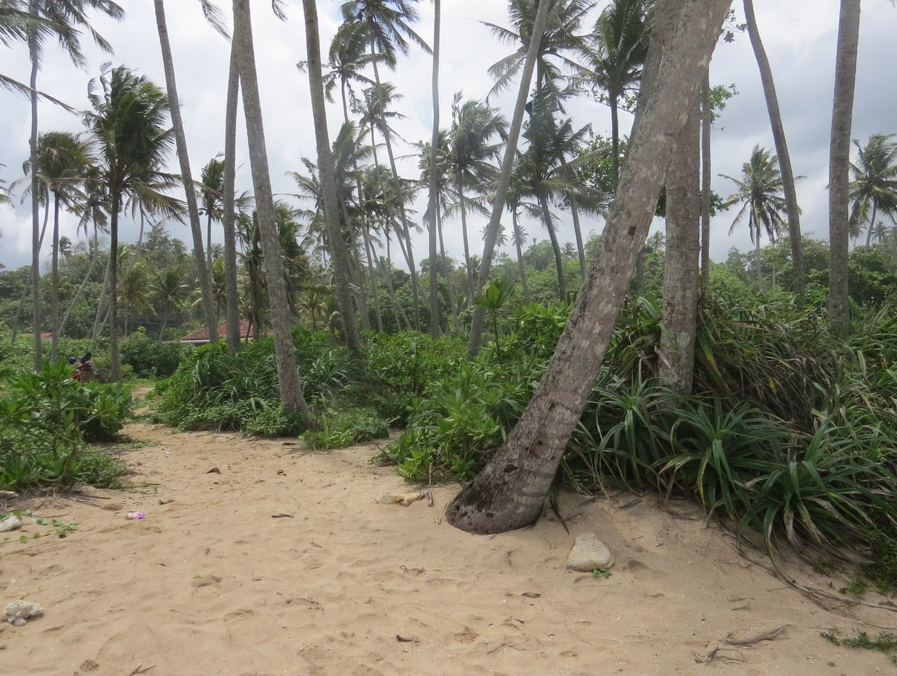 CS150- Beautiful Beach Property