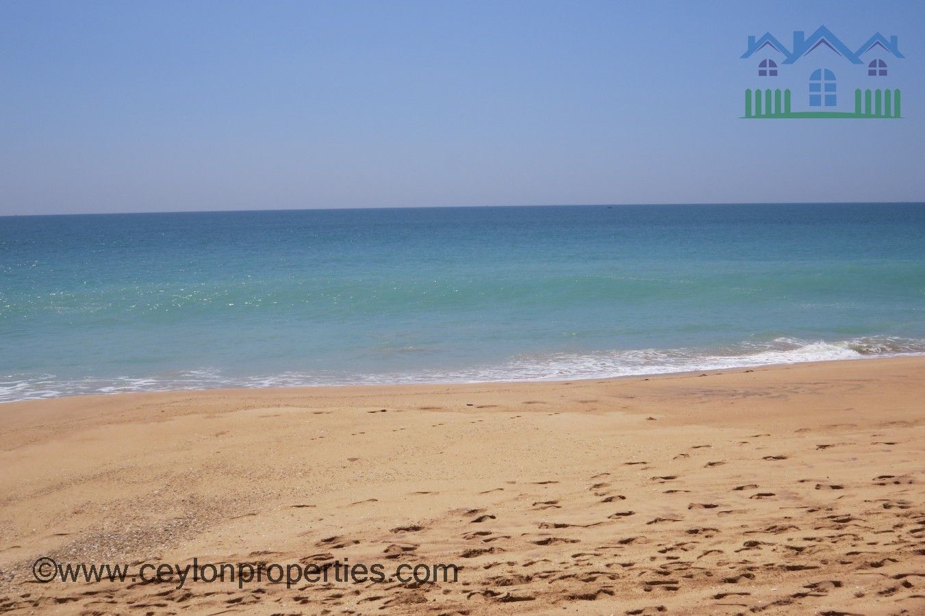 CS184- Elevated Beach Land In Down South