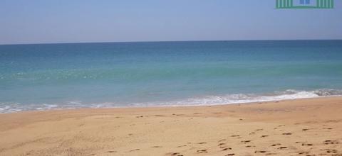 CS184- Elevated Beach Land In Down South