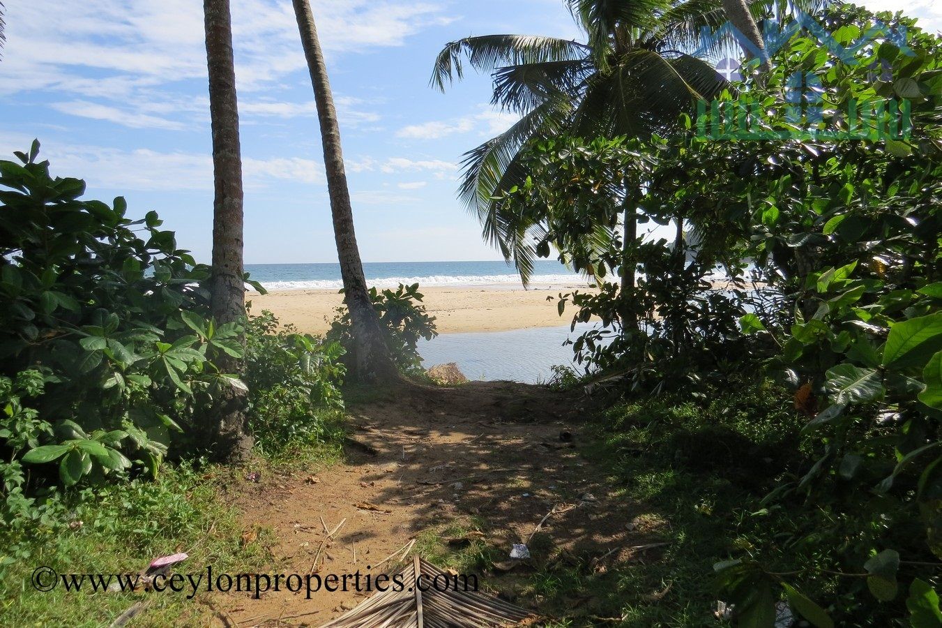 CS180- Tropical Beach Front