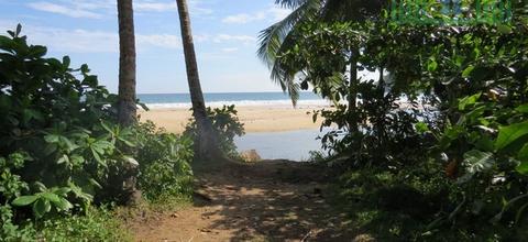 CS180- Tropical Beach Front