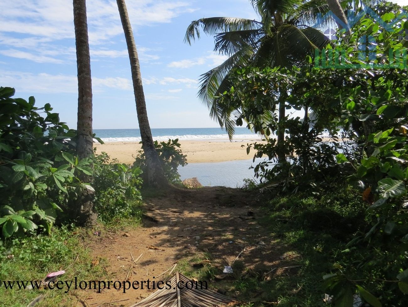 CS180- Tropical Beach Front